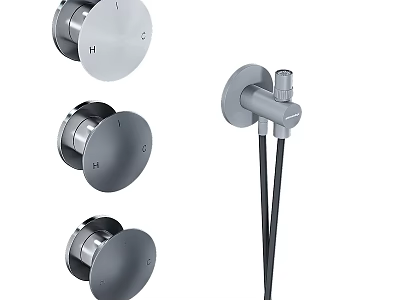 Modern Wall Mounted Toilet with Grey Flush Buttons and Water Inlet Valve Components 3d model