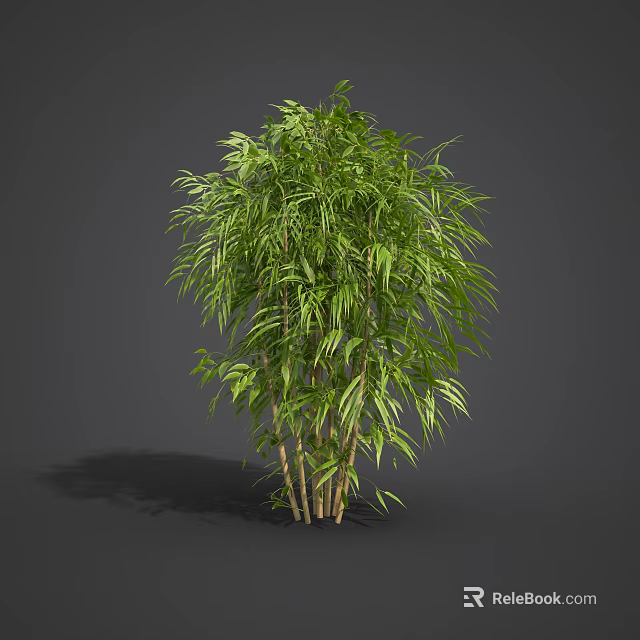 Lush Green Bamboo Plant With Multiple Stems And Fresh Leaves 3d model 