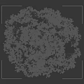 Vibrant Blooming Arbor Tree With Purple Flowers And Human Silhouette For Scale Reference