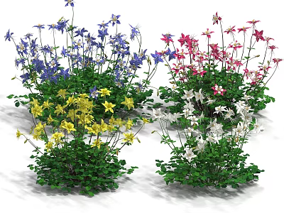 Colorful Blooming Flowers With Blue Pink Yellow White Petals And Green Leaf Plants 3d model