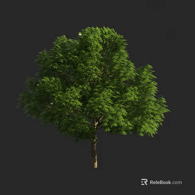 Lush Green Tree With Dense Foliage And Brown Trunk On Dark Background 3d model 
