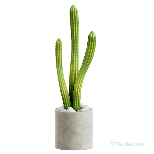 Tall Green Cactus With Multiple Stems In Concrete Pot And White Pebbles 3d model 