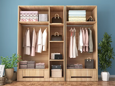Modern Wooden Double Door Wardrobe With Hanging Folded Clothes Storage Boxes And Green Plants 3d model