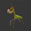 Green Mantis 3D Model Standing With Yellow Legs And Antenna On Reflective Surface
