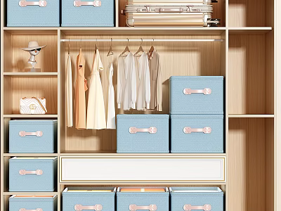 Organized Modern Wardrobe With Hanging Clothes Blue Storage Boxes And Drawer 3d model