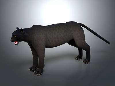 Realistic Black Panther Full Body Standing With Open Mouth On Gray Background 3d model