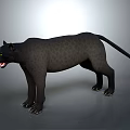 Realistic Black Panther Full Body Standing With Open Mouth On Gray Background