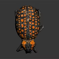 Colorful Flying Insect Beetle With Black Body And Orange Spots