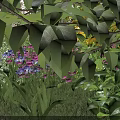 Colorful Garden Flowers With Yellow Purple Pink Blooms And Lush Green Leaves