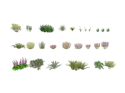 Various Types of Green and Purple Foliage Plants Collection 3d model