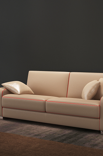 Modern double sofa without sofa 3d model