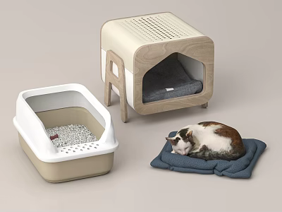 Cat Resting On Mat With Litter Box And Wooden Cat Bed 3d model