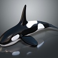 Modern Whale Cartoon Whale Mammal Marine Mammal 3d model