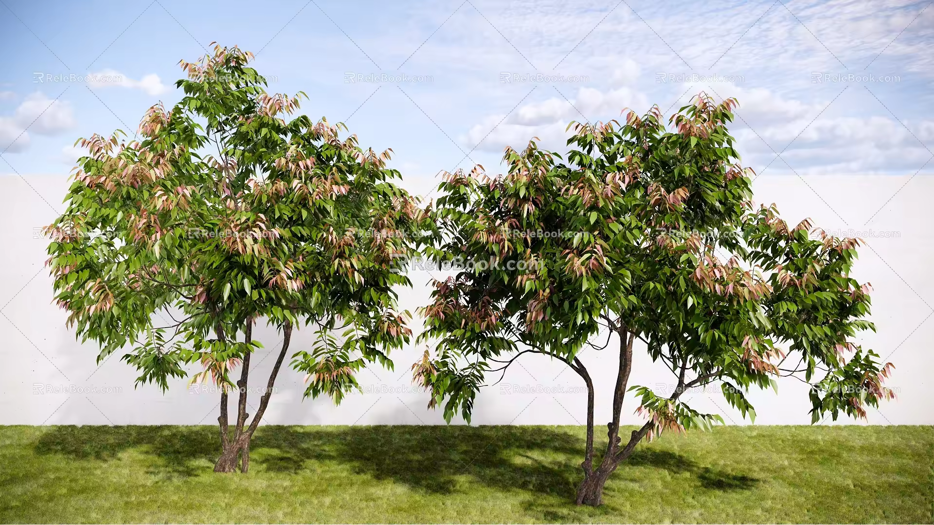 Modern Landscape Plants Arbor Ornamental Trees Street Trees Green Planting 3d model