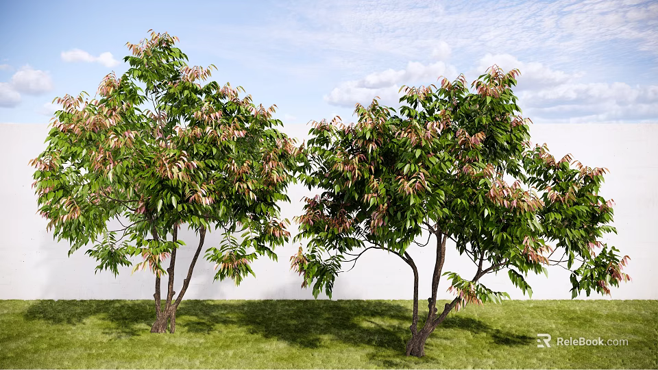 Lush Leafy Trees With Green Foliage Standing On Grassy Lawn Under Blue Sky 3d model 