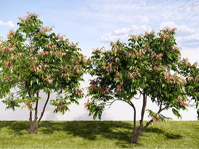 Lush Leafy Trees With Green Foliage Standing On Grassy Lawn Under Blue Sky 3d model