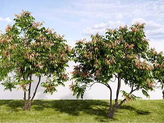 Modern Landscape Plants Arbor Ornamental Trees Street Trees Green Planting 3d model