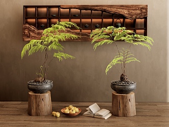 New Chinese Kidney Fern Potted Plant Bonsai Tea Cabinet Wall Cabinet Antique Frame Jewelry Ornaments Combination 3d model