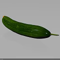 Fresh Green Cucumber with Striped Skin and Yellow Blossom Tip