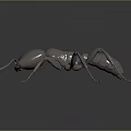 Metallic Ant Sculpture With Detailed Design On Dark Reflective Surface
