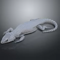 White Reptile Lizard 3D Model with Detailed Texture on Gray Background and Reflective Surface