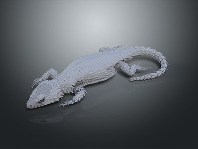 Lizard Anime Lizard Cartoon Lizard Reptile Cold Blooded Animal Reptile 3d model