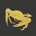 Fresh Orange White Spotted Crab With Red Legs Claws On Gray Reflective Background