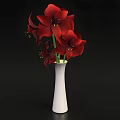 White Simple Vase With Red Amaryllis Flowers And Green Leaves Against Dark Background