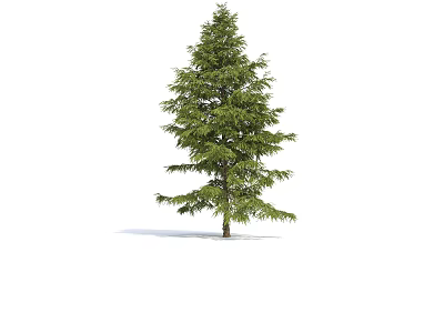 The Modern Tree 3d model