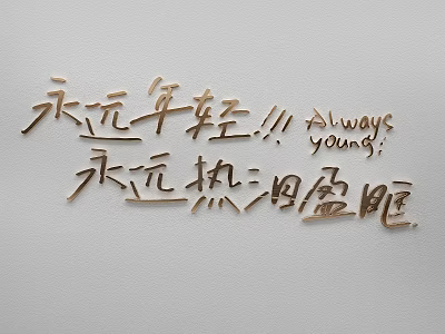 Inspirational Decorative Wall Hanging with Chinese Calligraphy Always Young and Always Tearful 3d model