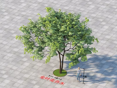 Golden Leaf Pagoda Tree Arbor With Lush Foliage 6 Meters On Stone Brick Ground 3d model