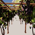 Outdoor Wooden Grape Vine Arbor With Green Leaves And Support Structure