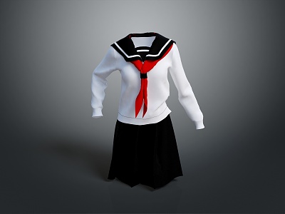 School Uniform Girls School Uniform Student Clothing School Clothing Professional Clothing Fashion model