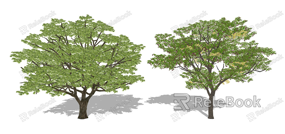 Modern Tree Landscape Tree Losmanthus Tree Huangge Tree Landscape Plants model