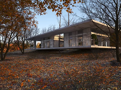 Modern Detached Villa In Natural Surroundings With Large Windows And Autumn Trees 3d model