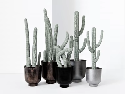 Various Cactus Potted Plants In Different Colored Material Pots With White Background 3d model