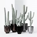 Various Cactus Potted Plants In Different Colored Material Pots With White Background 3d model