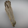 Well Preserved Dinosaur Skull Of Prehistoric Reptile With Sharp Teeth And Bone Structure