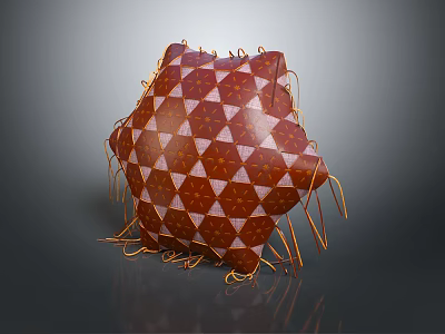 Decorative Brown And White Geometric Pattern Pillow With Tassel Edges For Home Decor 3d model