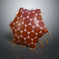 Decorative Brown And White Geometric Pattern Pillow With Tassel Edges For Home Decor