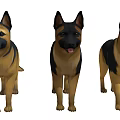Three German Shepherds Standing Together With Alert Expressions And Healthy Coats
