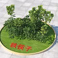 Green Shrubs Growing On Circular Lawn With Tiekuai Zi Text Marking