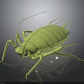 Realistic Green Cricket 3D Model With Glossy Surface Long Antennae And Reflective Dark Background