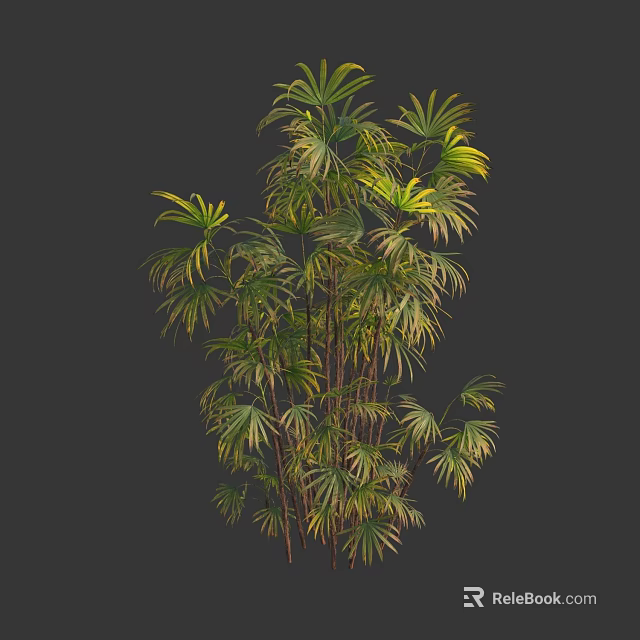 Lush Green Bamboo Plant With Tall Sturdy Stems And Vibrant Foliage 3d model 