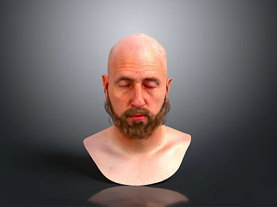 A Bald Man With Beard Closed Eyes And Bust In Grey Background 3d model