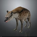 Realistic Hyena 3D Model Standing On Dark Background Spotted Body Mouth Slightly Open Showing Teeth