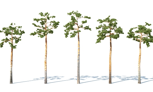 The Modern Tree 3d model