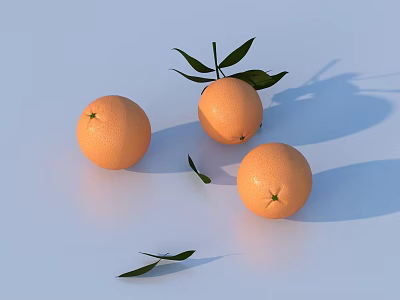 Fresh Oranges with Green Leaves on White Background and Soft Shadows 3d model