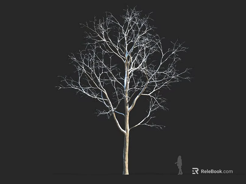 Tall Leafless Tree Against Black Background Featuring Small Human Figure For Scale 3d model 
