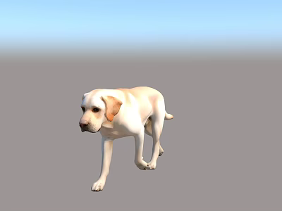 Yellow Labrador Dog Walking On Gray Ground Under Blue Sky 3d model